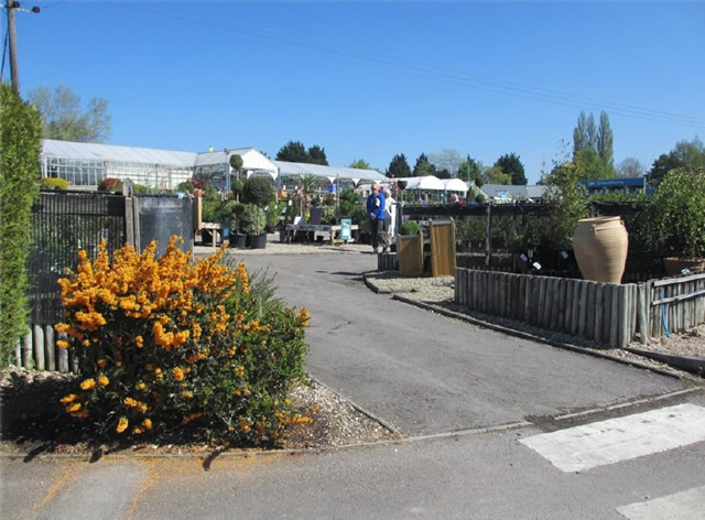 Garden centre