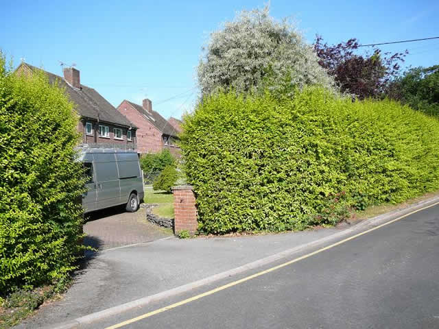 Tanglewood - prior to develpoment