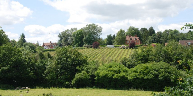Customer building approved at Wiltshire Vineyard